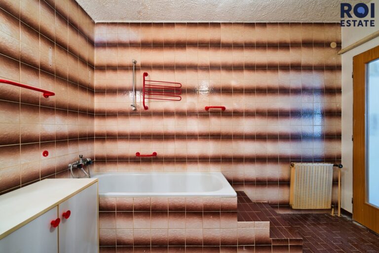 Prodej  prostorného a světlého bytu 1+ 1, 54 m², Blansko