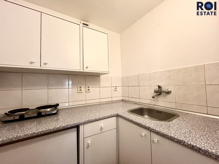 Pronájem bytu 1+1, 26 m² se zahradou – Kounická, Praha 10