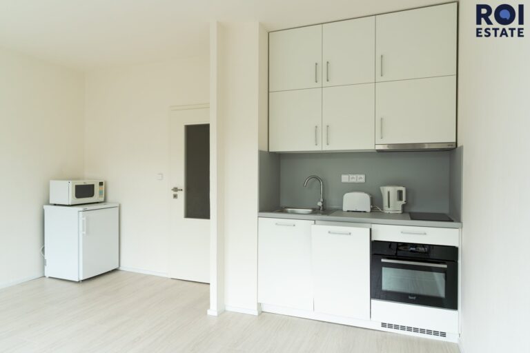 Pronájem bytu 1+kk 44 m², Praha – Modřany