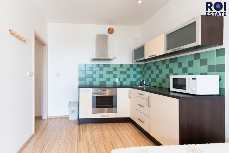 Pronájem bytu 1+kk 31 m², Praha – Žižkov