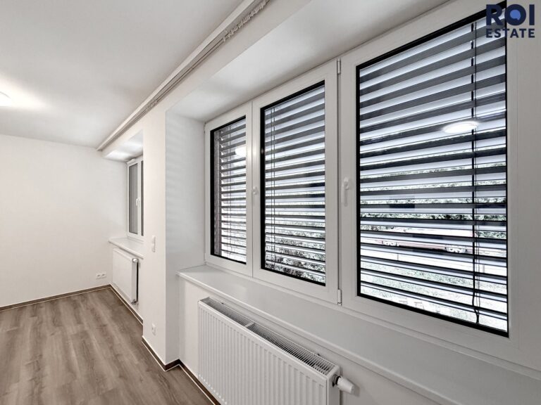 Pronájem velmi hezkého bytu 1+kk 30 m², Brno – Štýřice, Sovince
