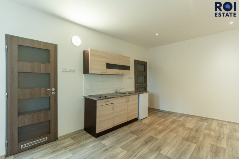 Pronájem bytu 1+kk 21 m², Praha – Žižkov