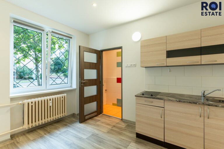 Pronájem bytu 1+kk 21 m², Praha – Žižkov