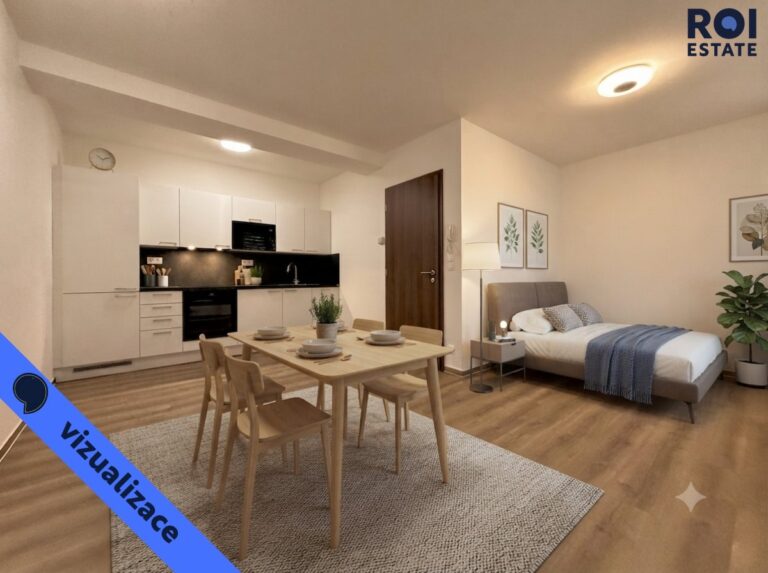 Pronájem velmi hezkého bytu 1+kk 30 m², Brno – Štýřice, Sovince