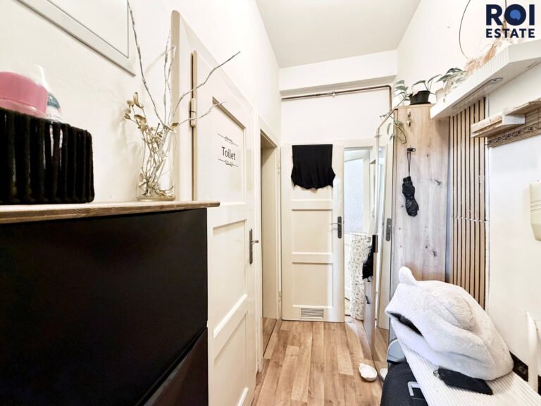 Pronájem bytu 1+1 39 m², Brno – Černá Pole
