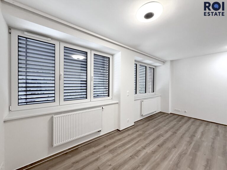 Pronájem velmi hezkého bytu 1+kk 30 m², Brno – Štýřice, Sovince