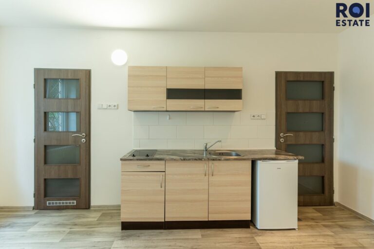 Pronájem bytu 1+kk 21 m², Praha – Žižkov