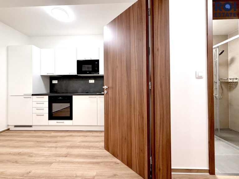 Pronájem velmi hezkého bytu 1+kk 30 m², Brno – Štýřice, Sovince