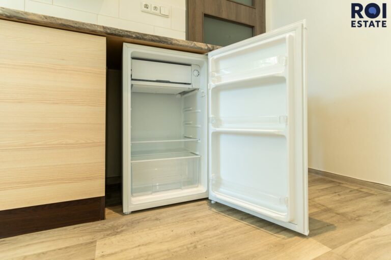 Pronájem bytu 1+kk 21 m², Praha – Žižkov