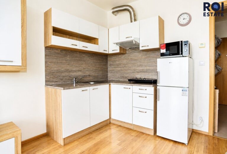 Pronájem bytu 1+kk 29 m², Praha – Horní Měcholupy
