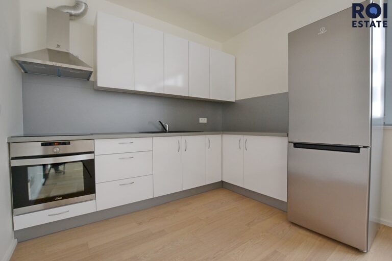 Pronájem, Byty 1+1, 40m² se sklepem a parkovacím stáním , Brno, Cejl