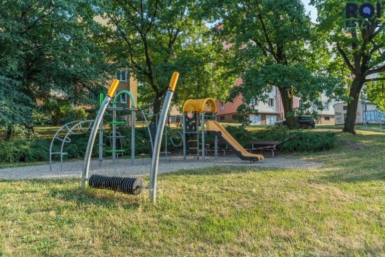 Pronájem bytu 1+kk 21 m², Praha – Žižkov