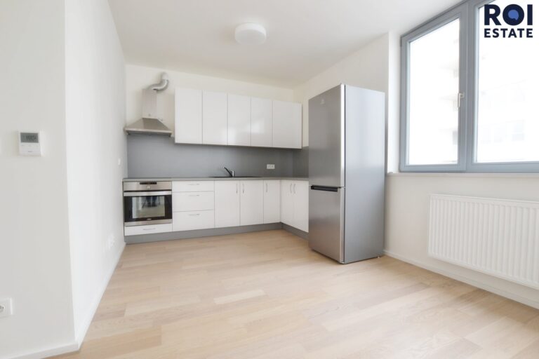 Pronájem, Byty 1+1, 40m² se sklepem a parkovacím stáním , Brno, Cejl