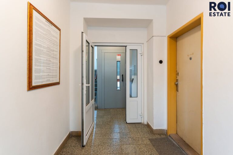 Pronájem bytu 1+kk 21 m², Praha – Žižkov