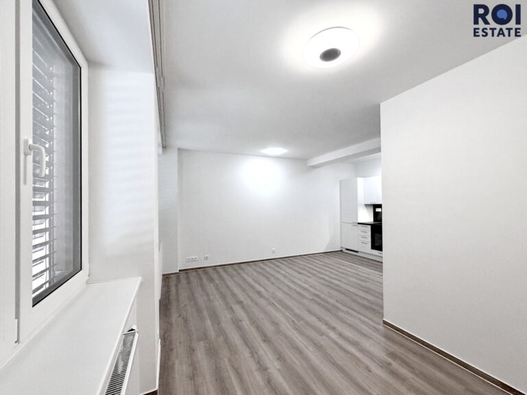 Pronájem velmi hezkého bytu 1+kk 30 m², Brno – Štýřice, Sovince