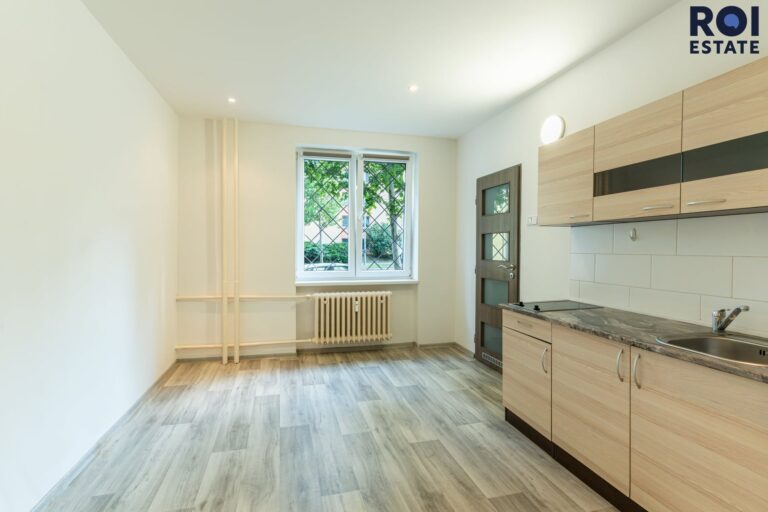 Pronájem bytu 1+kk 21 m², Praha – Žižkov