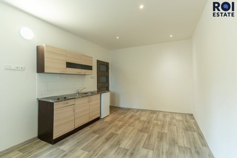 Pronájem bytu 1+kk 21 m², Praha – Žižkov