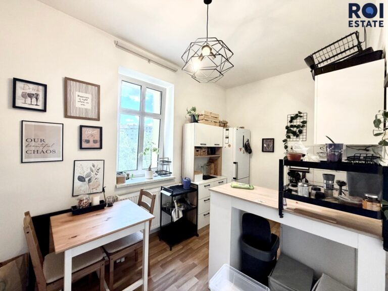 Pronájem bytu 1+1 39 m², Brno – Černá Pole
