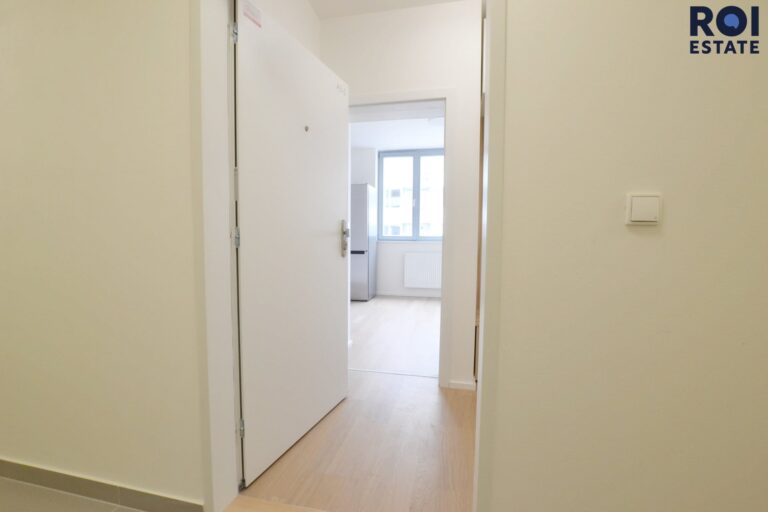 Pronájem, Byty 1+1, 40m² se sklepem a parkovacím stáním , Brno, Cejl
