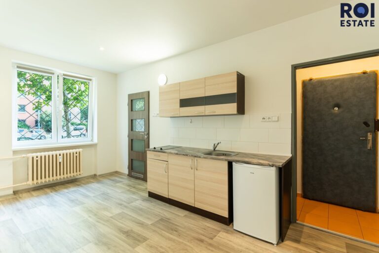 Pronájem bytu 1+kk 21 m², Praha – Žižkov
