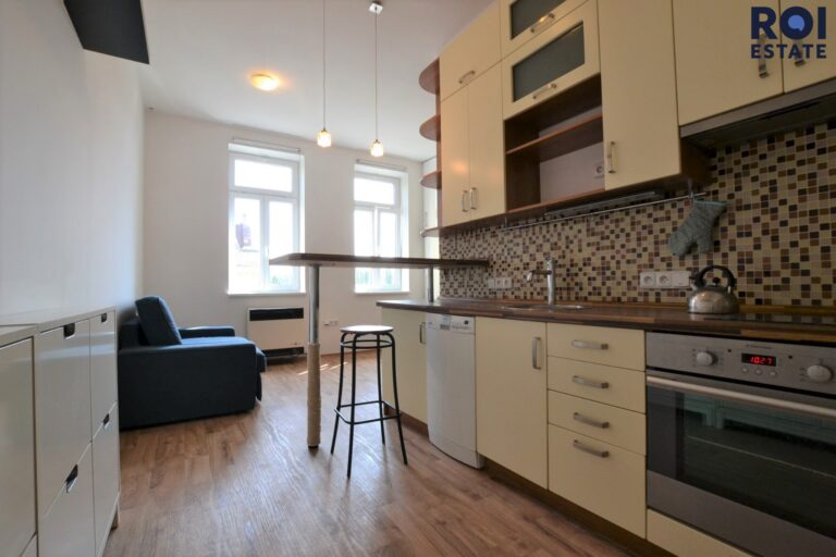 Stylový a kompletně zařízený byt 1+kk (34 m²) u parku Lužánky