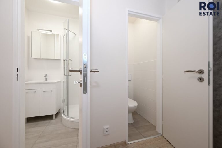 Pronájem bytu 2+1 53 m², Praha – Žižkov