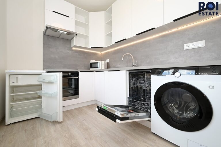 Pronájem bytu 2+1 53 m², Praha – Žižkov