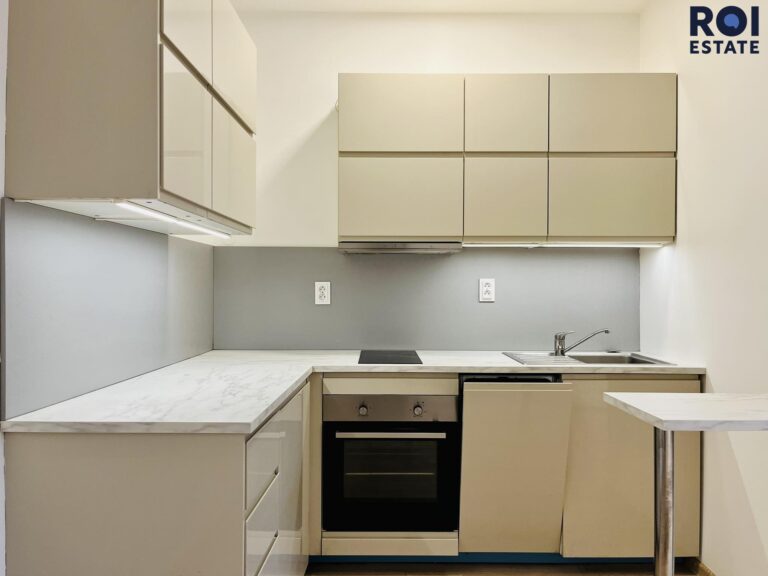 Pronájem zrekonstruovaného ateliéru v centru 1+kk, 22m², Brno – Zábrdovice