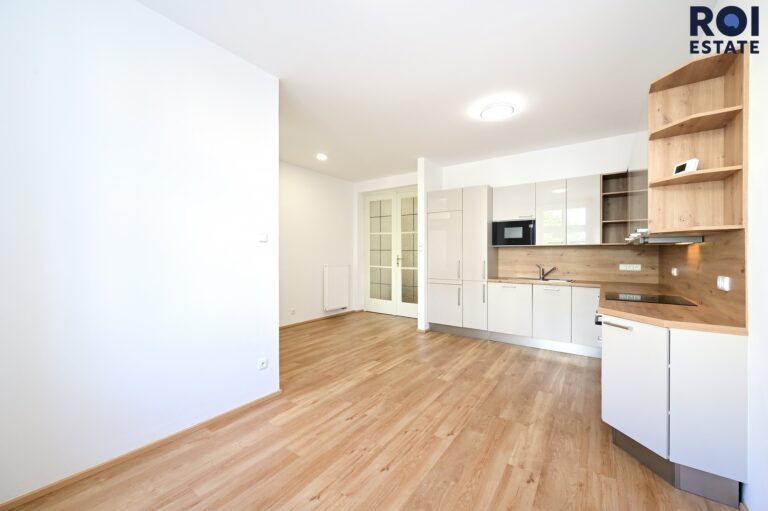 Pronájem bytu 2+1 78 m², Praha – Vinohrady