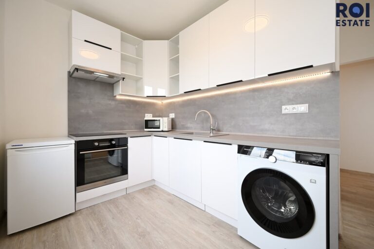 Pronájem bytu 2+1 53 m², Praha – Žižkov