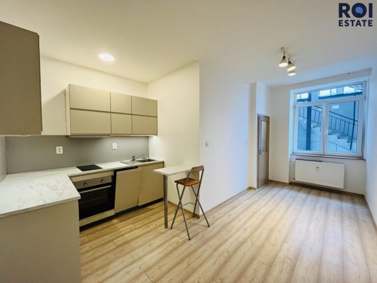 Pronájem zrekonstruovaného ateliéru v centru 1+kk, 22m², Brno – Zábrdovice