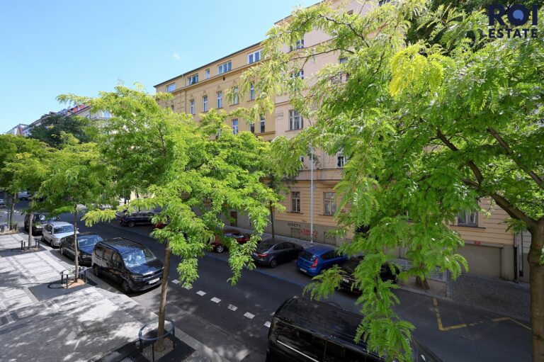 Pronájem bytu 2+1 78 m², Praha – Vinohrady