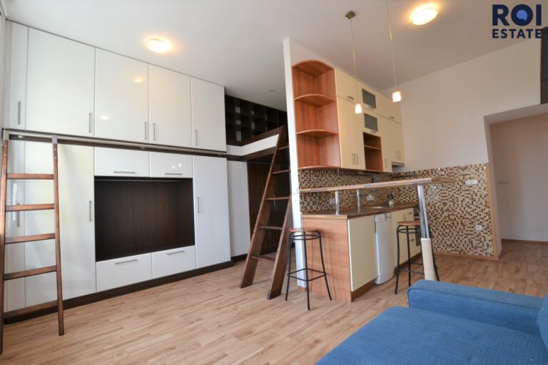 Stylový a kompletně zařízený byt 1+kk (34 m²) u parku Lužánky