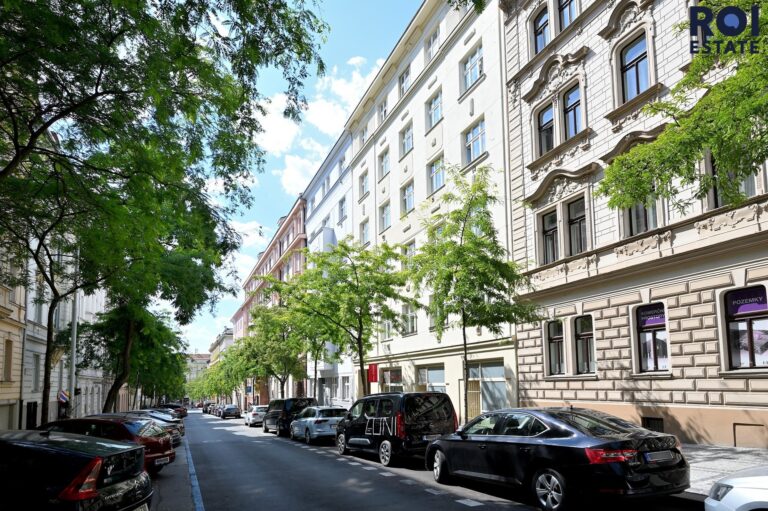 Pronájem bytu 2+1 78 m², Praha – Vinohrady