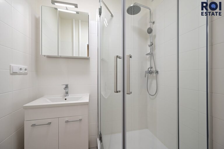 Pronájem bytu 2+1 53 m², Praha – Žižkov