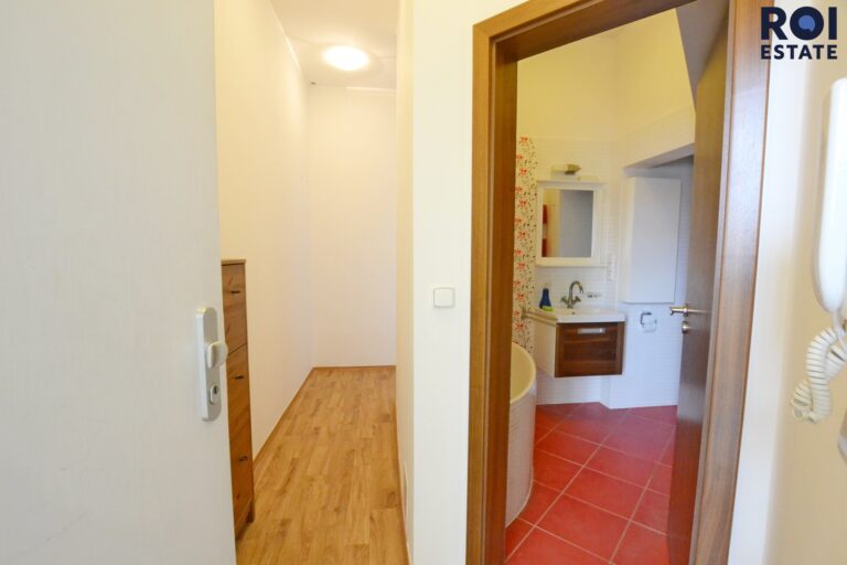 Stylový a kompletně zařízený byt 1+kk (34 m²) u parku Lužánky