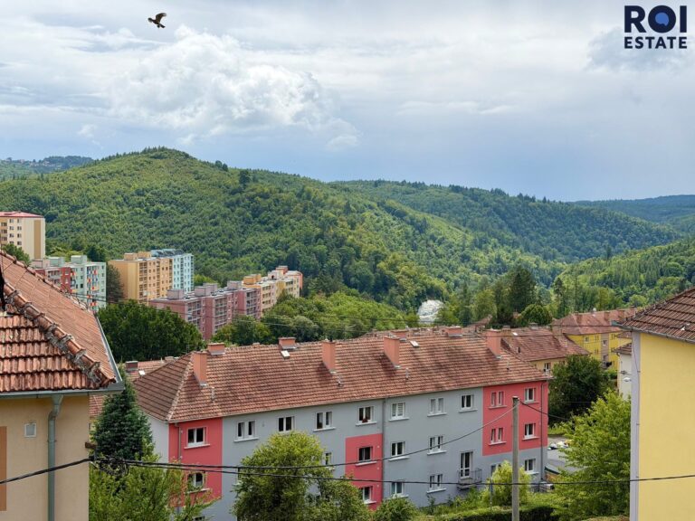 Pronájem bytu 2+1 , 55 m2 + sklep 12  m², Adamov, Ronovská