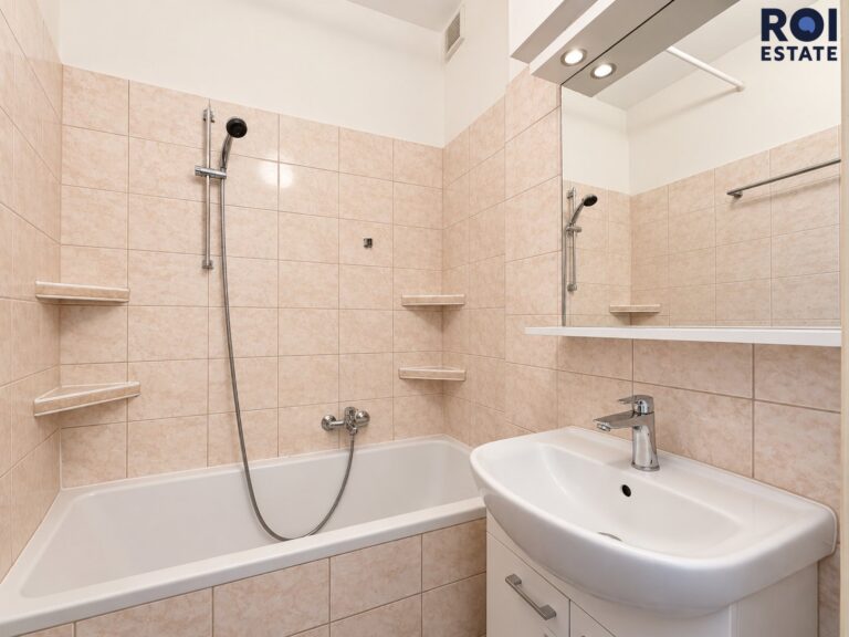 Pronájem bytu 2+1 50 m², Brno – Černá Pole
