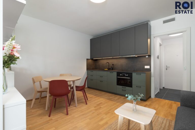 Pronájem bytu 1+kk 41 m², Ostrava – Moravská Ostrava