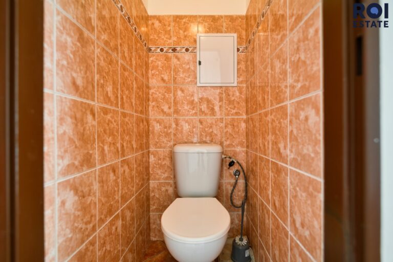 Pronájem bytu 2+1 46 m² – Milovice, Boží dar